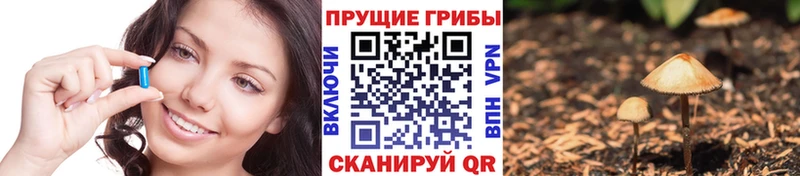 Псилоцибиновые грибы GOLDEN TEACHER  где можно купить   Кудрово 