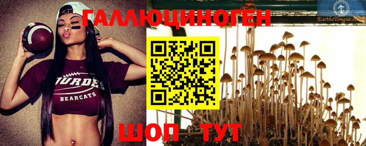 Галлюциногенные грибы GOLDEN TEACHER  как найти   Кудрово  Псилоцибиновые грибы мухоморы  Вход с VPN 